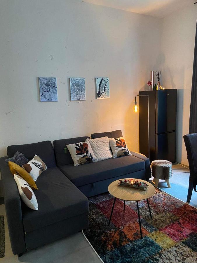 אנטוורפן Garden Suite In City Center מראה חיצוני תמונה